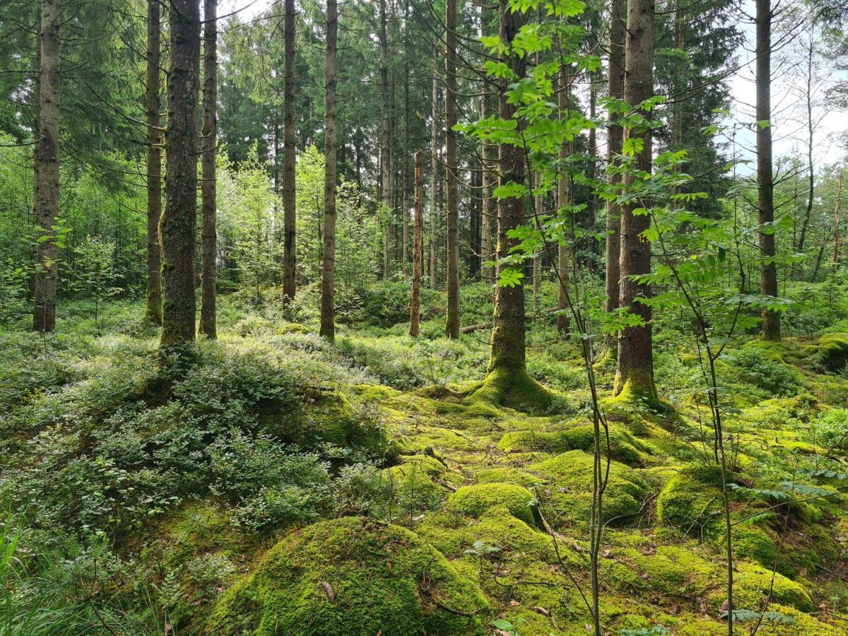 Stuga I Naturen Simlångsdalen Eksteriør billede