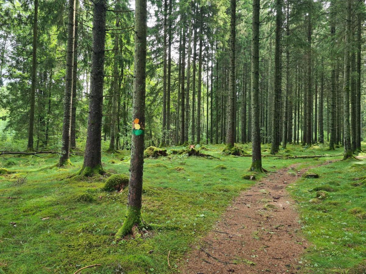 Stuga I Naturen Simlångsdalen Eksteriør billede