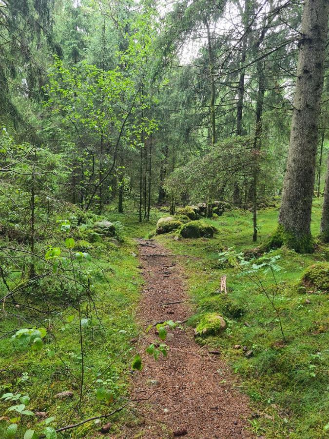 Stuga I Naturen Simlångsdalen Eksteriør billede